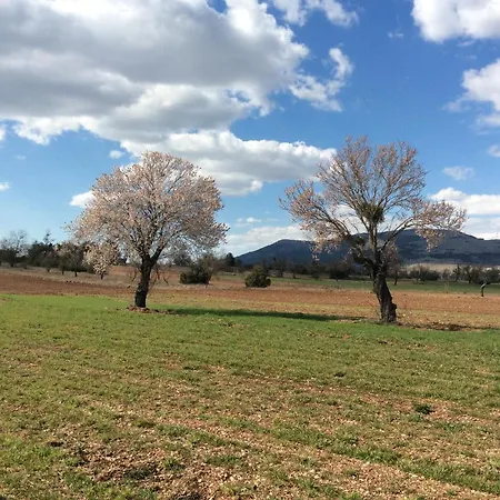 Da Sciuri Barisciano