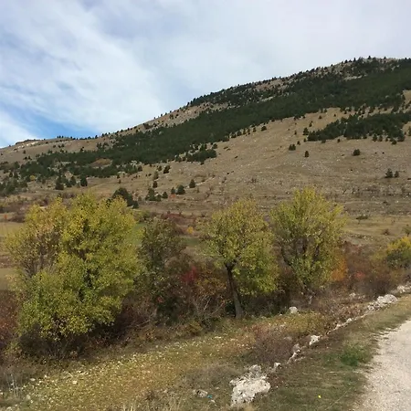 Da Sciuri