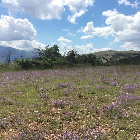 Nyaraló Da Sciuri