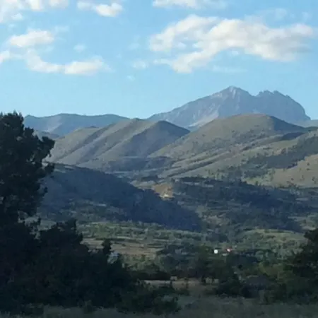 Da Sciuri *