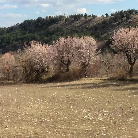 Da Sciuri *