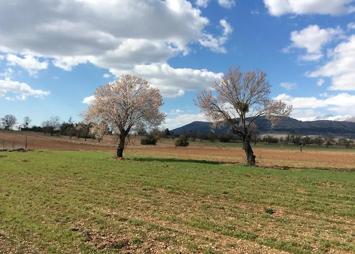 Da Sciuri Баришано