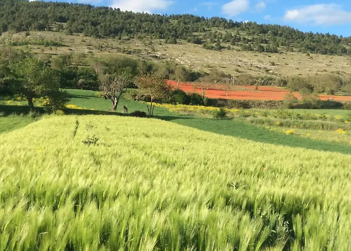 Da Sciuri * Баришано