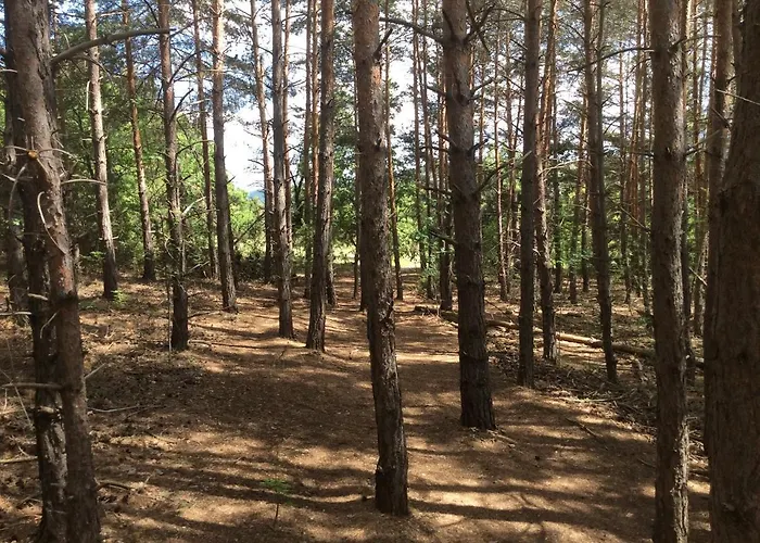 Da Sciuri Дом отдыха *