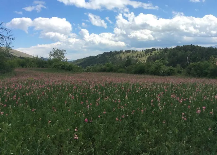 Casa vacanze Da Sciuri *
