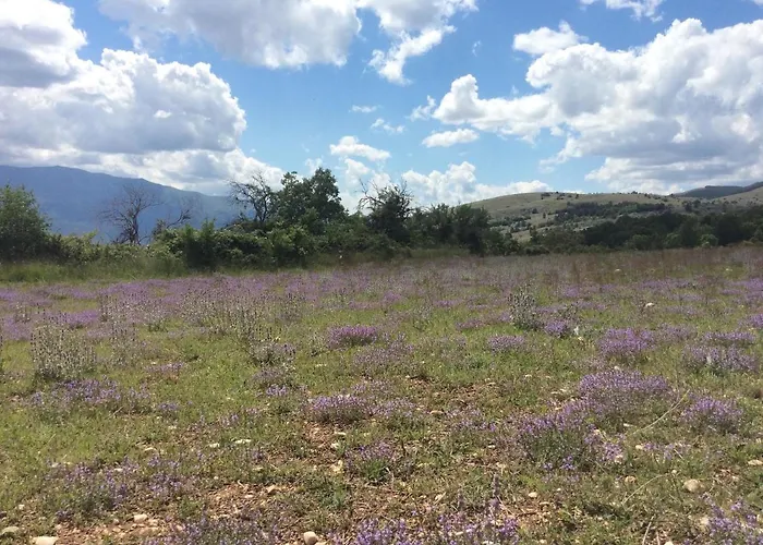 Дом отдыха Da Sciuri